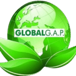 image-removebg-preview-3-150x150